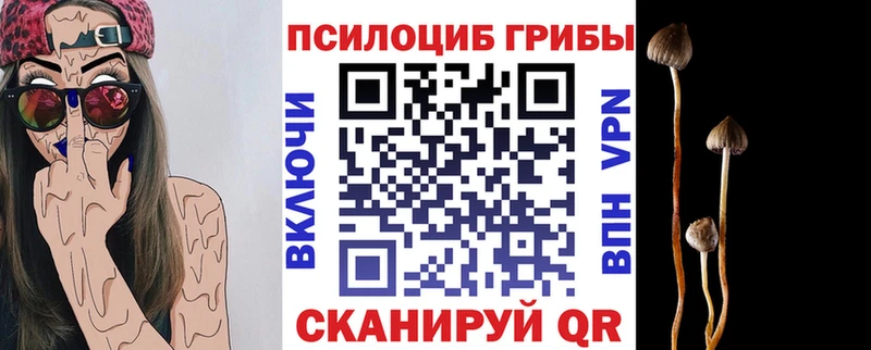 наркошоп  Заинск  Галлюциногенные грибы Cubensis 