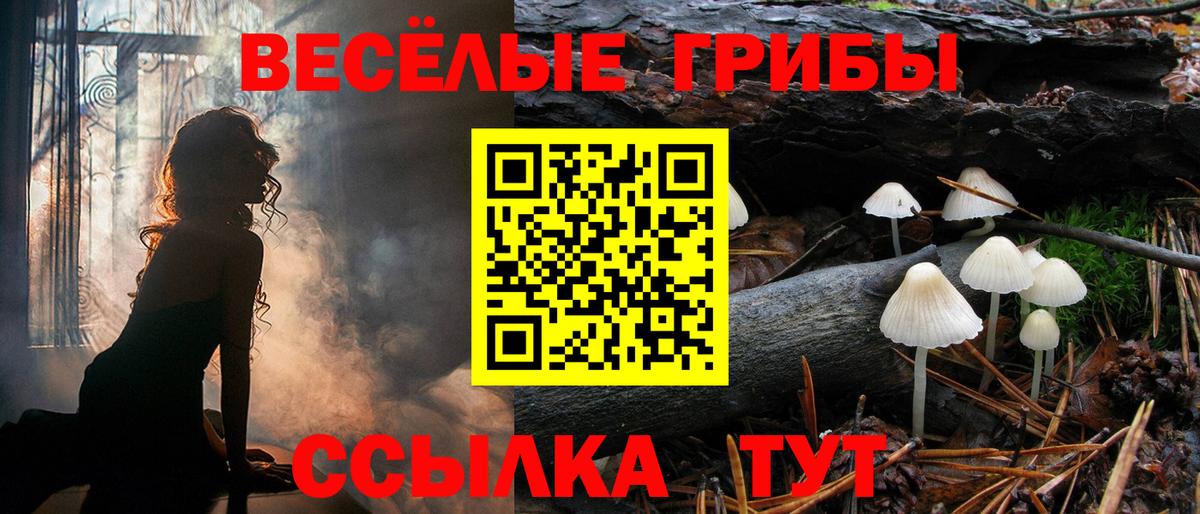 Галлюциногенные грибы Psilocybine cubensis Заинск