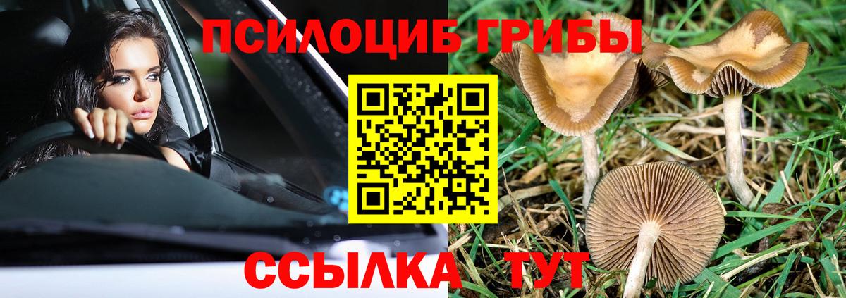 Псилоцибиновые грибы MAGIC MUSHROOMS  Псилоцибиновые грибы мицелий  Заинск 